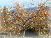 France deux chez nous