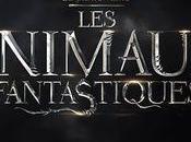 Animaux Fantastiques d'après Monde sorciers Rowling avec Eddie Redmayne