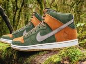 Nike Dunk Homegrown