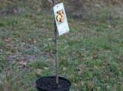 Plantation arbres fruitiers (amandier, abricotier, poirier, pommier, pêcher...)