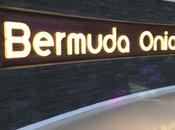 Aujourd’hui, j’ai testé Bermuda Onion