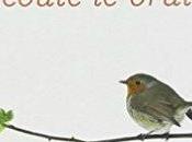 L'immense immensité