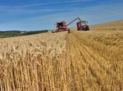 Poitou-Charentes grandes exploitations passent