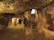 homme abat cave. qu’il trouve derrière incompréhensible.