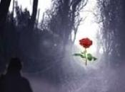 l'espoir retient Ankha Soune