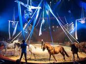 fabuleux spectacle équestre cirque Alexis Gruss