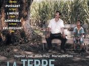 Cinéma terre l’Ombre tierra sombra), critique