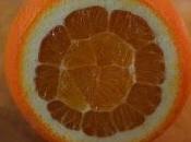 oranges janvier