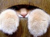 Quelques tweets passant