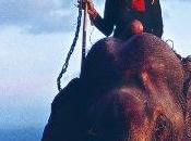 [DVD] chevaliers d’ivoire, osmose fraternelle entre éléphants êtres humains