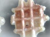 Gaufres liégeoise thetrmomix sans