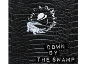 Jerry black Alligators Down swamp