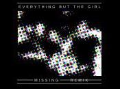 Everything Girl Missing (LAROC remix)