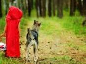 chaperon rouge, étymologie