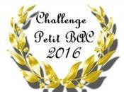 Challenge petit 2016