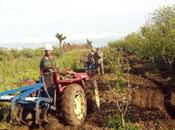Investissements agricoles: Installation d'une cellule suivi ministère l'Agriculture