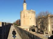 Carte postale d'Aigues-Morte