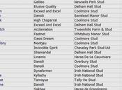 Etalons (Irl, Year Stud 2013-2016