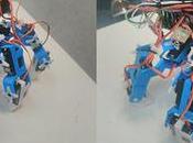 Focus Louis Bernot (IPSA promo 2020), créateur d’une araignée robotisée