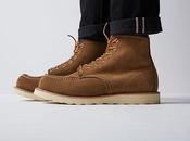 wing 2016 collection