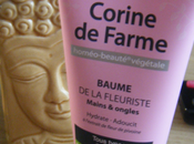 Funky Testeuses baume fleuriste Corine Farme