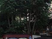 Vente enchêres Cinéma Pagode, Paris