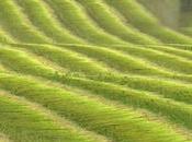 Crise agricole devrait encourager petits producteurs boycotter supermarchés»