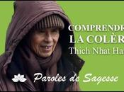 Comprendre Colère avec Thich Nhat Hanh