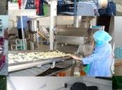 Professeur Abderahmane Mebtoul L’Algérie dispose compétences permettant dépasser crise pétrolière