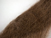 mèche cheveux John Lennon pourrait rapporter