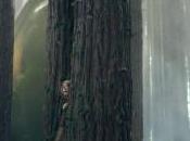 [News/Trailer] Pete’s Dragon Disney continue dépoussiérer classiques