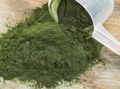 algues compléments alimentaires