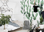 Petit cactus deviendra grand