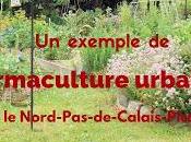 exemple permaculture urbaine dans Nord-Pas-de-Calais-Picardie, nouveau livre