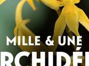 Exposition Mille orchidées 2016 Jardin Plantes