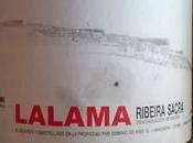 Espagne Pétalos Bierzo 2013 Lalama 2011