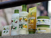 nouveautés Yves Rocher