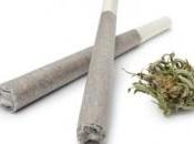 CANNABIS: explication cérébrale l'exclusion sociale? Biological Psychiatry: Cognitive Neuroscience Neuroimaging