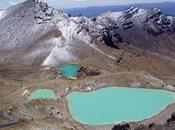 Bons plans pour séjour loisir Nouvelle-Zélande