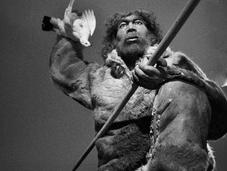 gènes Néandertal amélioré l'immunité l'Homme Moderne