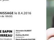 Carte blanche Nathalie SAPIN Jean-Louis GOURREAU Vernissage avril 2016 Galerie Sophie Julien Béziers