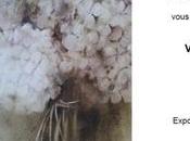 Daniele Fabre expose Grau