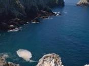 Sorties nature plus belles vues Bretagne