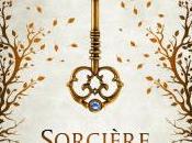 Sorcière malgré elle l’Héritière Raeven