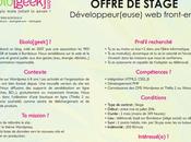 WANTED stagiaire développeur(euse) front-end