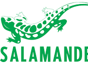 Stock Salamander Strasbourg (67)