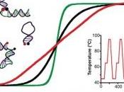 NANOTECHNOLOGIE: thermomètre 20.000 fois plus petit qu'un cheveu NanoLetters