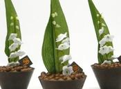 Baguettes Lait Ribot