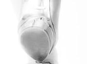 avis 4ème tome Rougis Lanabellia