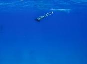 Soyez l'eau l'écume